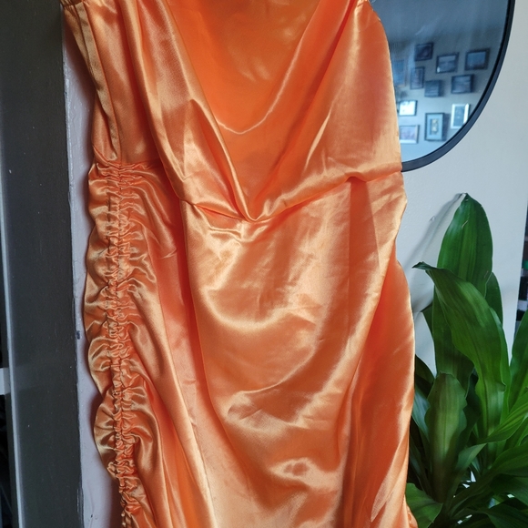 Orange Dress - Picture 4 of 4